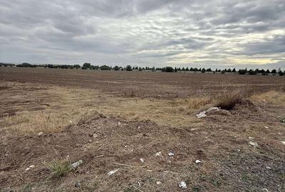 Teren de 10000 mp, în Nord - 3