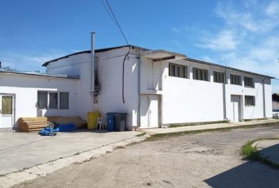 Spațiu comercial, de 929 mp, în Brestei - 9