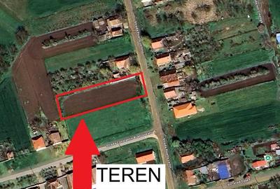 Teren de 1439 mp, în Banloc - 1