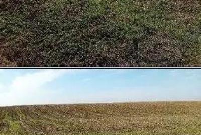 Teren extravilan Barlogu; ID: R2825534 - 2