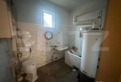 Casă cu 4 camere cu Teren 6197 Mp în Viile Satu Mare - 8