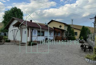Domeniu, Afacere de vanzare, Sebe?, Alba, balta pescuit, ferma lavanda - 3