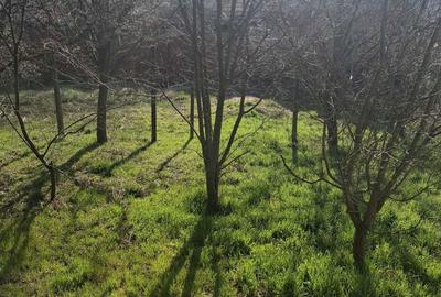 Casă cu 3 camere în Ludoș - 3