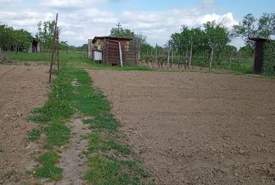 Casă cu 3 camere în Săbolciu - 2