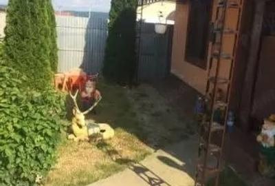 Casă cu Teren 1000 Mp în Câmpu Mare - 6