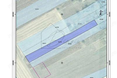 Teren intravilan 2078 mp langa padure - Piscu Ciolpani Snagov - 8