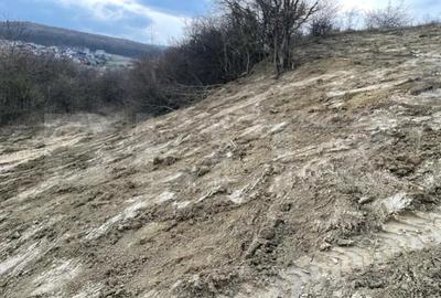 Teren de 1525 mp, în Central - 13