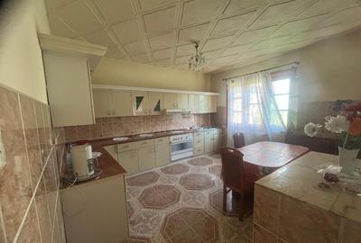 Caransebes, Casa P E, Teren 1000 Mp - 17