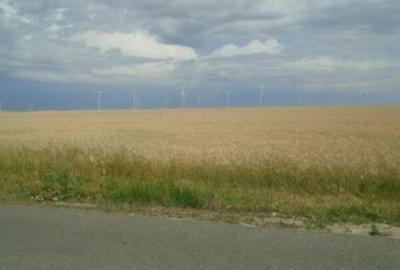 Teren de 6498 mp, în Corni - 1