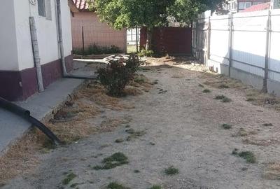 Casă cu 3 camere cu Teren 2476 Mp în Poșta Câlnău - 10