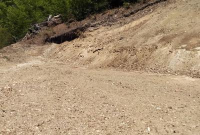 Teren de 15000 mp, în Cerna-Sat - 4