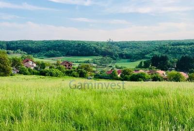 Teren Construcții intravilan de 11388 mp, în Hidișelu de Sus - 4