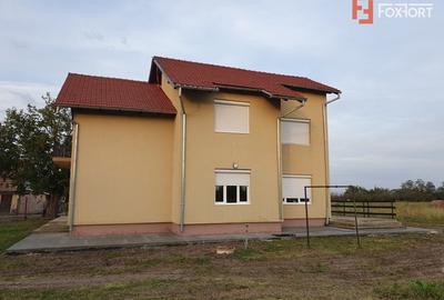 Casa cu 5 camere, 236 mp, teren 5805 mp, gaz, Brestea - Denta - 14