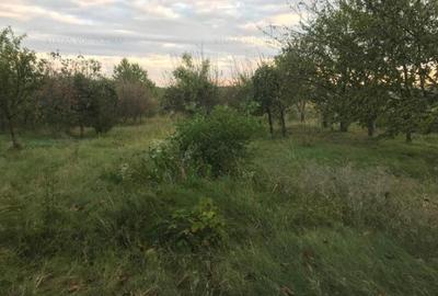 Teren de 500 mp, în Podu Iloaiei - 6