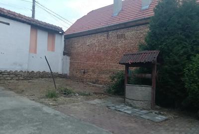 Casă cu Teren 1439 Mp în Saschiz - 4