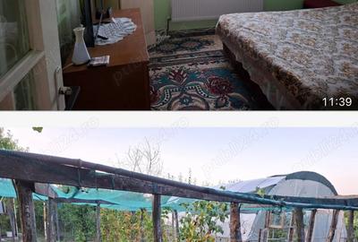 Gospodarie superba cu 3 dormitoare 2 bai si gradina - 7