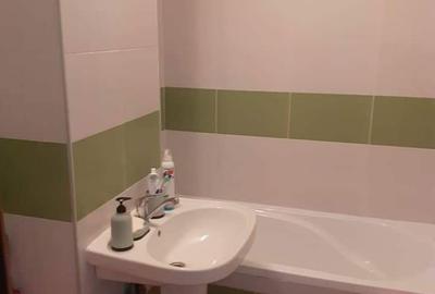 Apartament cu 2 camere nedecomandat în Beba Veche - 2