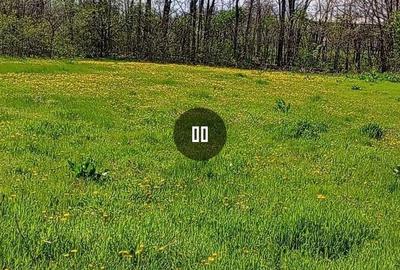 Casă cu 4 camere în Boureni - 5