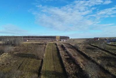 Teren Intravilan 2460 mp Suceava De Vanzare 0727817187 - 10