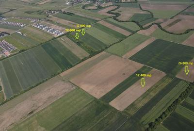 Teren Construcții intravilan de 12000 mp, în Moșnița Nouă - 2