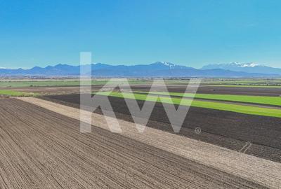 Vanzare teren extravilan agricol Halchiu 15000mp - 8