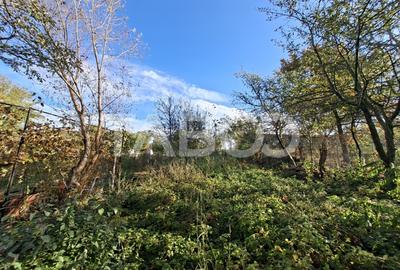 Casa cu 6 camere 720 mp teren in sat Bungard din judetul Sibiu - 27