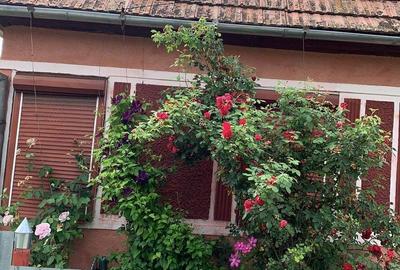 Casă cu 3 camere în Filea - 4