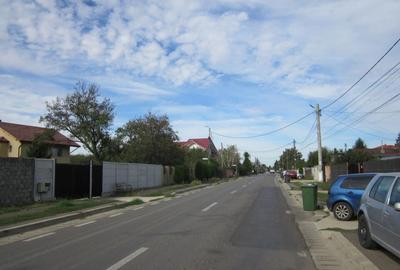 Domnesti Ciutaci-Zorelelor - 2