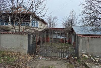 Vila P+1,hala 70 m2 la parter, la DN4 - 2