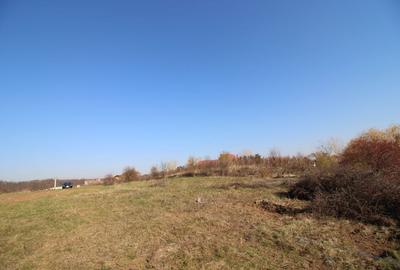 Teren dezvoltare 4763 pe malul Lacului Mogosoaia deschidere 40 metri - 9