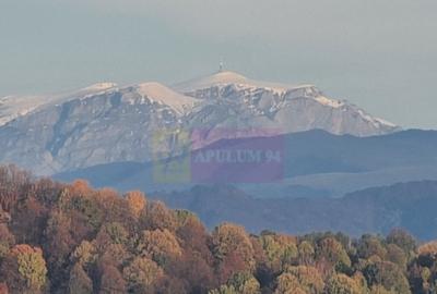 Teren intravilan de vanzare in Telega - 1