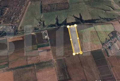 Teren în Lipănești