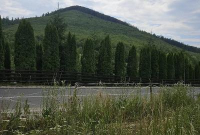 Teren de 5500 mp, în Hurez - 2