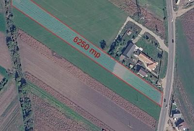 Teren Construcții intravilan de 4450 mp, în Griviței - 8