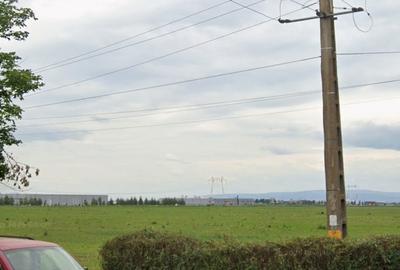 Teren agricol extravilan de 21000 mp, în Exterior Vest - 4