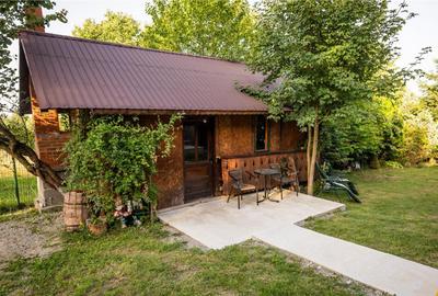 FILM! Pachet complet pt turism si sau rezidenta, Tohanita, Z - 6