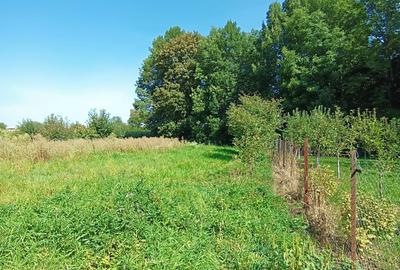 Casa cu teren Serbau?i, Suceava - 1