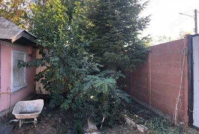 Casă cu 3 camere în Nicolae Bălcescu - 2