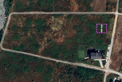 Teren Construcții intravilan de 499 mp, în Mogoșoaia - 4