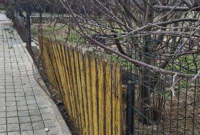 Casă cu 3 camere cu Teren 908 Mp în Tuzla - 3