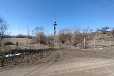 Teren de 2500 mp, în Central - 2