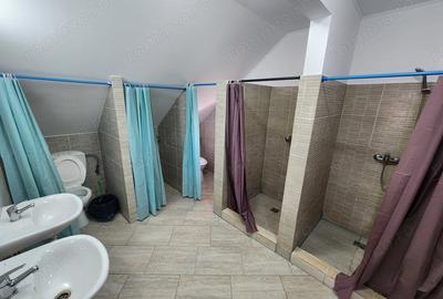 Casă cu 2 camere în Sânandrei - 5