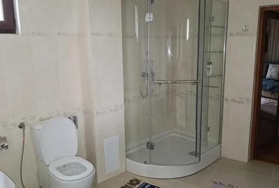 Casă cu 6 camere cu Teren 1060 Mp în Alexandru cel Bun - 11