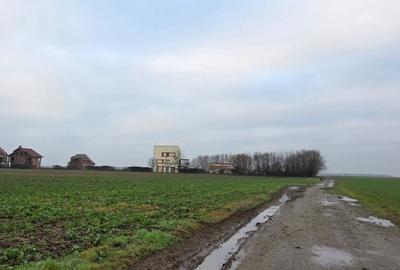 Teren Construcții intravilan de 45602 mp, în Frumușani - 1