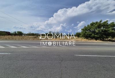 Teren Construcții intravilan de 878 mp, în Sud - 5