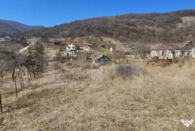 Teren de 1550 mp, în Cetate - 1