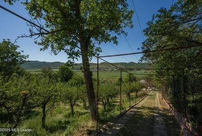 Pucioasa, DB, casa de vacanta - 15