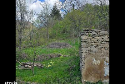 Teren de 3000 mp, în Certeju de Sus - 13