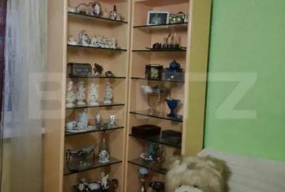 Apartament 4 camere, 87 mp, in apropiere de LIDL si str.Transilvania - 8