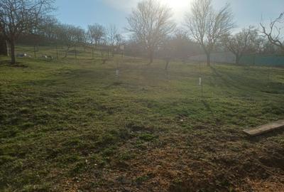 Spațiu comercial, în Colonia - 3